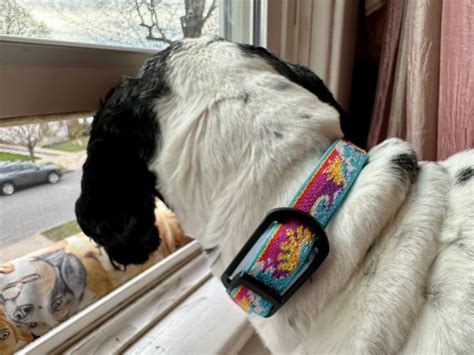 Wuffes Dog Accessories Review: Your Dog's Ultimate Treat in 2025