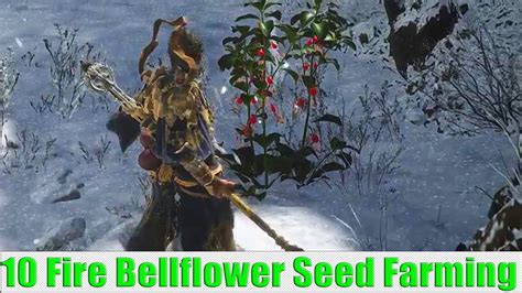 Wukong Fire Bellflower Seed Farm: A Garden Unleashed