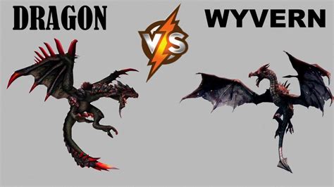 Wyvern vs Dragon: A Comprehensive Comparison