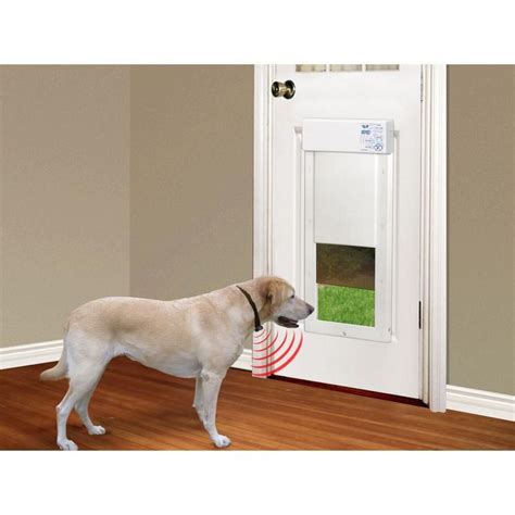 XL Automatic Dog Doors: The Ultimate Guide to Convenience and Safety for Larger Canines