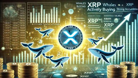 XRP Whale Buying Activity: A Comprehensive Overview