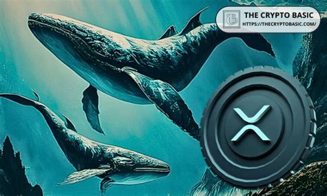 XRP Whales Accumulate 40 Million Tokens in 48 Hours