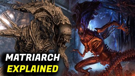 Xenomorph Queen Alien: Unveiling the Paramount Matriarch