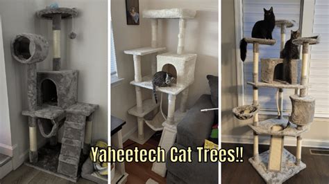 Yaheetech Cat Tree 101: Unleashing 7 Purrfect Benefits for Feline Bliss in 2025