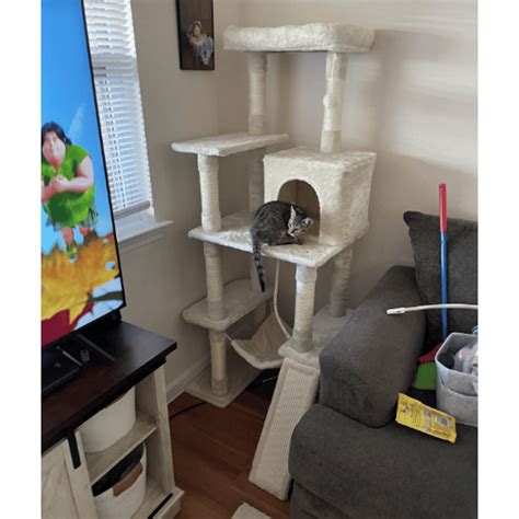 Yaheetech Cat Tree Benefits: The Ultimate Guide to 2025