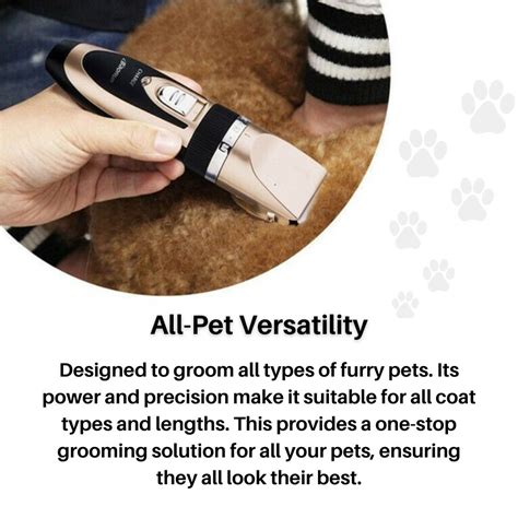 Yaheetech Pet Grooming Tool: 2025's Ultimate Grooming Solution VS Traditional Tools