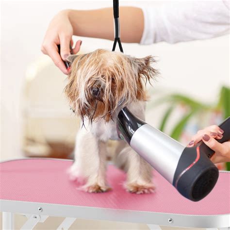 Yaheetech Pet Grooming Tool Review 2025: The Ultimate Guide to a Clean and Healthy Pet