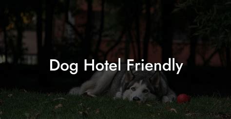 Yaheetech pet-friendly hotels and resorts