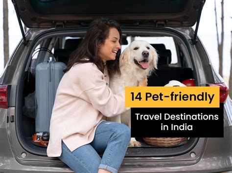 Yaheetech pet-friendly travel destinations