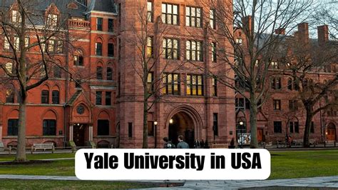 Yale University to NYC: A Comprehensive Guide to Transportation Options