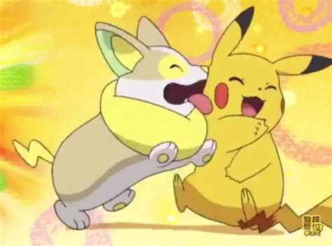 Yamper: The Pikachu Alternative with Adoring Owners