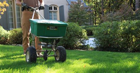 Yard Fertilization Companies: The Ultimate Guide to a Lush Lawn