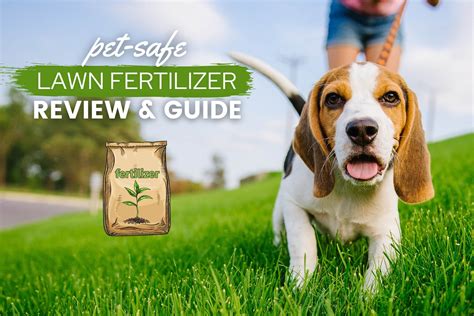 Yard Fertilizer and Dogs: A Guide to Keeping Your Pets and Lawn Safe