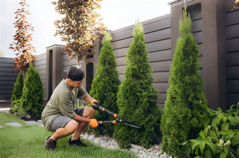 Yard to Cubic Yard: An Ultimate Guide for Contractors, Landscapers, & Homeowners