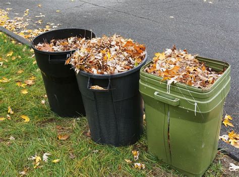 Yard waste: