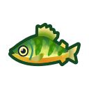 Yellow Perch ACNH: The Complete Guide