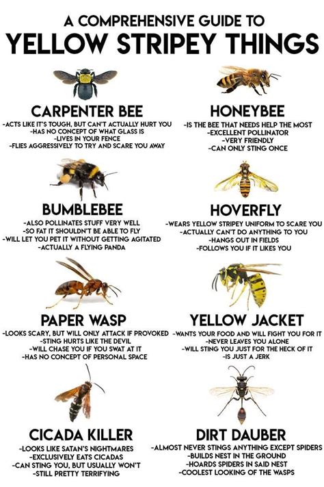 Yellow Stripey Things Chart