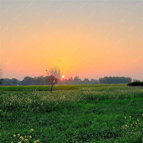 Yellow and Green Crystals: A Symbiotic Symphony of Nature