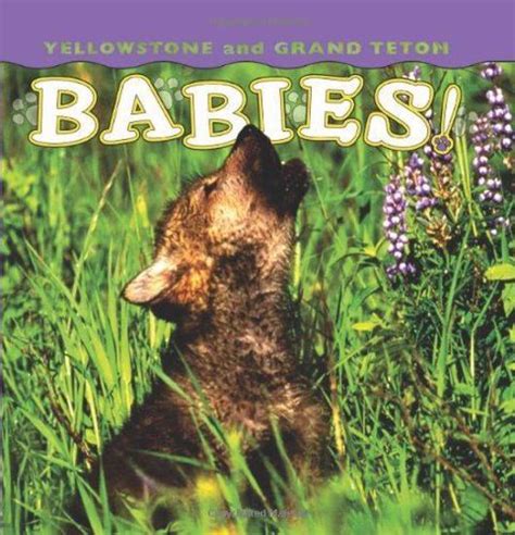 Yellowstone and Grand Teton Babies! PDF