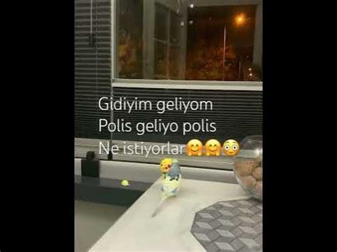 Yerinde Duramıyor Para Geliyor Ya!