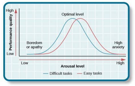 Yerkes-Dodson Law: Demystifying the Relationship Between Arousal and Performance