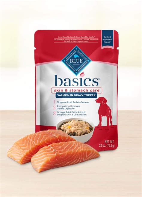 Yes! Dogs Can Enjoy Salmon, But With Caution