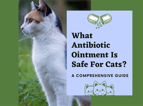 Yes, cats can take antibiotics.