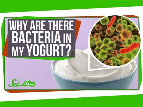 Yogurt's Microbial Symphony