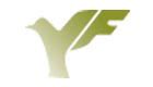 Yong Fah International Pte Ltd