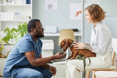 York, PA: Your Ultimate Guide to Veterinary Clinics