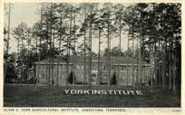 York Agricultural Institute: A Hub of Agricultural Innovation and Excellence