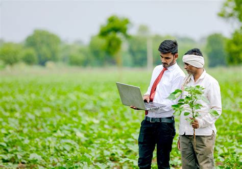 York Agricultural Institute: Empowering Farmers for Tomorrow's Challenges