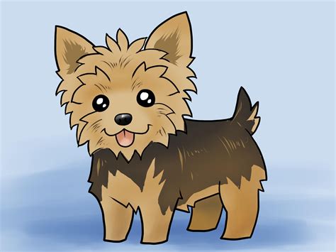 Yorkie Drawings Easy