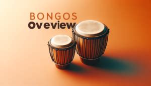 Yoshi Bongos: A Comprehensive Retrospective of a Unique Drumming Accessory