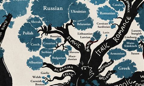 You Bet: A Linguistic Genealogy