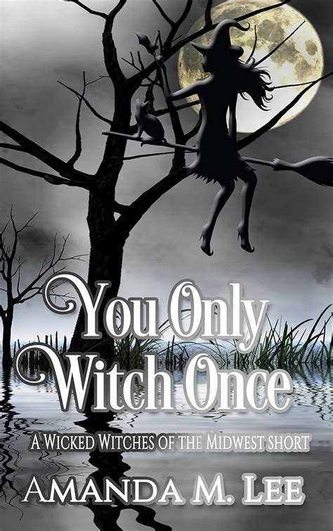 You Only Witch Once A Wicked Witches of the Midwest Short Epub