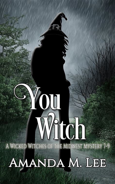 You Witch A Wicked Witches of the Midwest Mystery Books 7-9 Epub