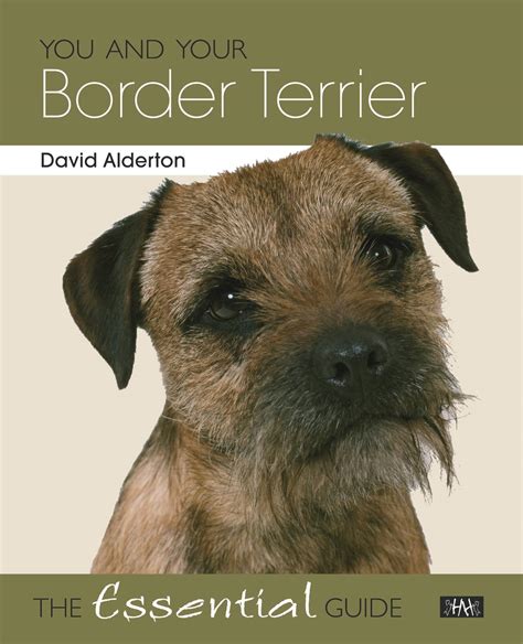 You and Your Border Terrier The Essential Guide Kindle Editon