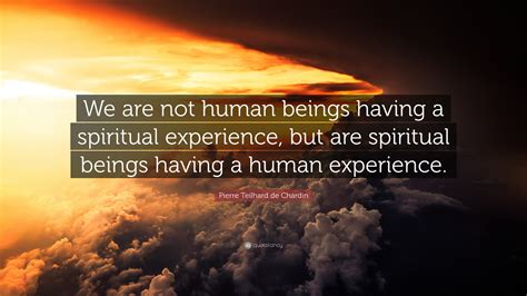 You are a Spiritual Being Having a Human Experience Epub