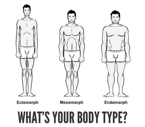 Your Body Type: