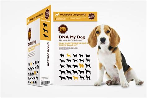 Your Dog's DNA: Unlocking Health, Behavior, and Ancestry with Breed Testing Kits