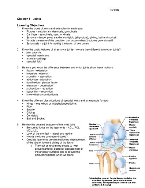 Your Joints Answer Key Epub