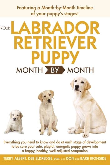 Your Labrador Retriever Puppy Month Kindle Editon