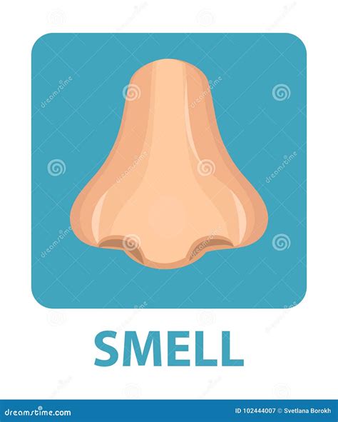 Your Nose Knows A Study of the Sense of Smell PDF