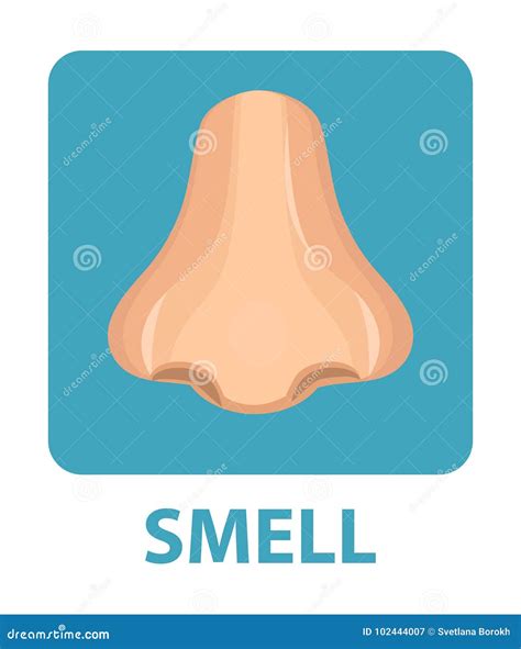 Your Nose Knows A Study of the Sense of Smell PDF