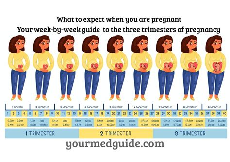 Your Pregnancy Week by Week Epub