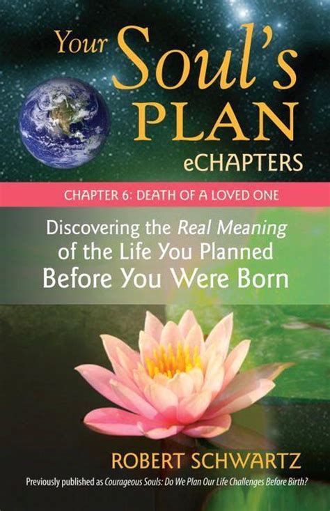 Your Soul s Plan eChapters Chapter 6 Death of a Loved One Discovering the Real Meaning of the Life You Planned Before You Were Born Reader