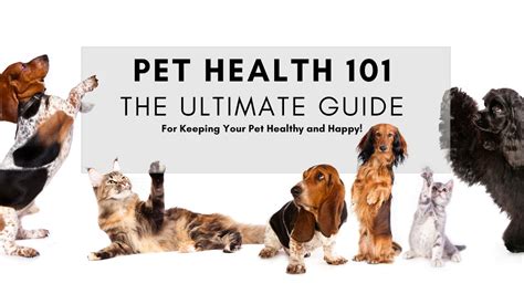 Your Ultimate Guide to Keeping Your Pets Healthy and Happy: KBSPets