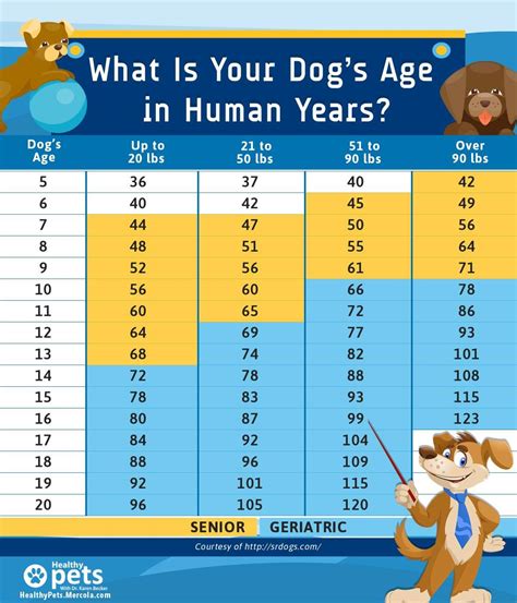 Your dog's age and health.