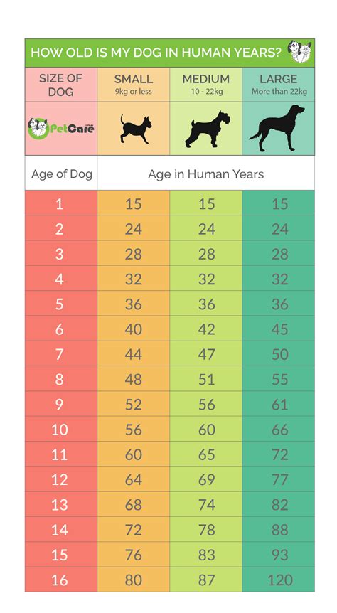 Your dog's age and weight: